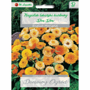 Nagietek lekarski karłowy odm. Bon Bon W. LEGUTKO