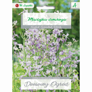 Maciejka dwuroga W. LEGUTKO