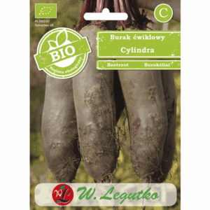 Burak ćwikłowy odm. Cylindra W. LEGUTKO
