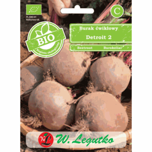Burak ćwikłowy odm. Detroit 2 W. LEGUTKO