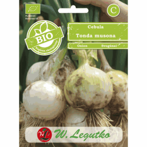 Cebula odm. Tonda musona W. LEGUTKO