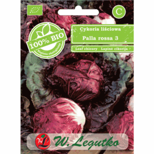 Cykoria liściowa odm. Palla rossa 3 W. LEGUTKO