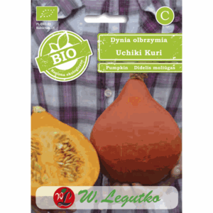 Dynia olbrzymia odm. Uchiki Kuri W. LEGUTKO