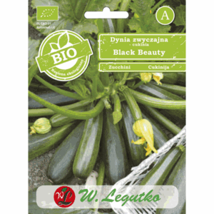 Dynia zwyczajna – cukinia odm. Black Beauty W. LEGUTKO