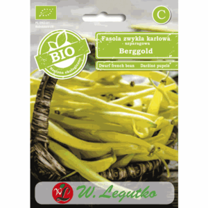 Fasola zwykła karłowa szparagowa odm. Berggold W. LEGUTKO