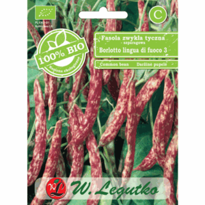 Fasola zwykła tyczna szparagowa – odm. Borlotto lingua di fuoco 3 W. LEGUTKO