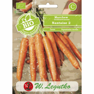 Marchew jadalna odm. Nantaise 2 W. LEGUTKO