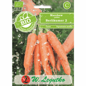 Marchew późna odm. Berlikumer 2 W. LEGUTKO