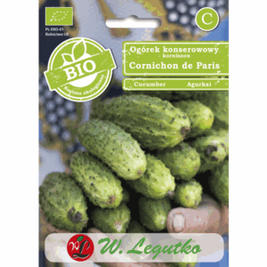 Ogórek konserwowy – korniszon odm. Cornichon de Paris W. LEGUTKO
