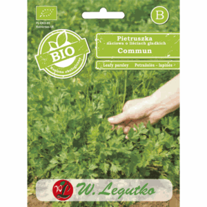 Pietruszka naciowa o liściach gładkich odm. Commun 2 W. LEGUTKO