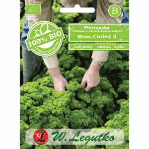 Pietruszka naciowa o liściach kędzierzawych odm. Moss Curled 2 W. LEGUTKO