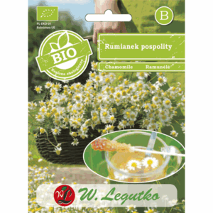 Rumianek pospolity W. LEGUTKO