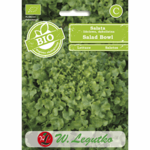 Sałata liściowa, dębolistna odm. Salad Bowl W. LEGUTKO