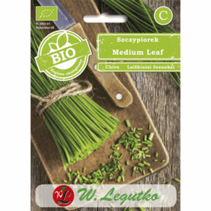 Szczypiorek odm. Medium Leaf W. LEGUTKO
