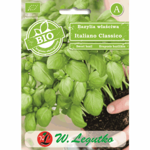 Bazylia właściwa odm. Italiano Classico W. LEGUTKO