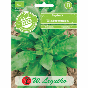 Szpinak odm. Winterreuzen W. LEGUTKO
