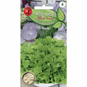 Młode listki – Sałata liściowa odm. Lollo Bionda W. LEGUTKO