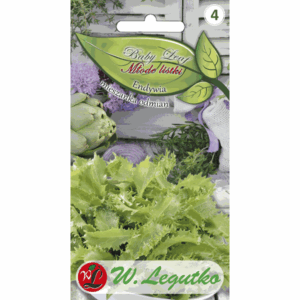Endywia – mieszanka odmian W. LEGUTKO