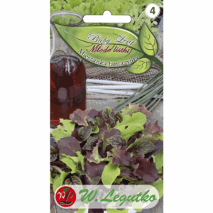 Młode listki – Mieszanka fantazyjna W. LEGUTKO