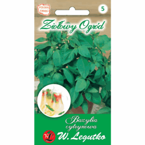 Bazylia cytrynowa W. LEGUTKO