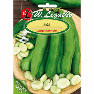 Bób odm. White Windsor W. LEGUTKO