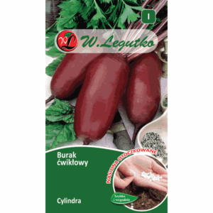 Burak ćwikłowy odm. Cylindra W. LEGUTKO