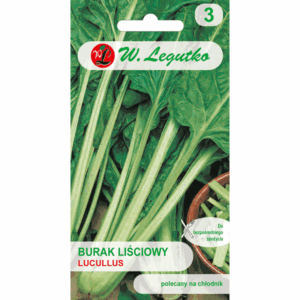 Burak liściowy odm. Lucullus W. LEGUTKO