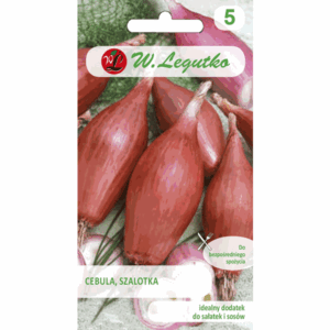 Cebula, Szalotka W. LEGUTKO