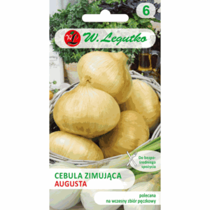 Cebula zimująca odm. Augusta W. LEGUTKO