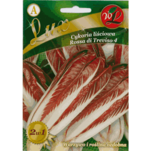 Cykoria liściowa odm. Rossa di Treviso 4 W. LEGUTKO