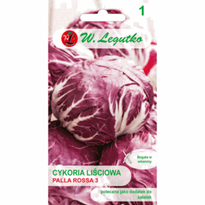 Cykoria liściowa odm. Palla Rossa 3 W. LEGUTKO