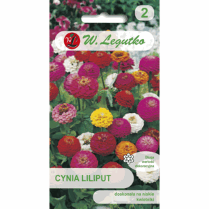 Cynia Liliput W. LEGUTKO