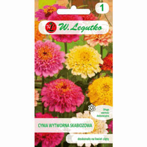 Cynia wytworna skabiozowa W. LEGUTKO