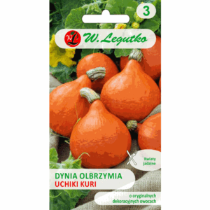 Dynia olbrzymia odm. Uchiki Kuri W. LEGUTKO