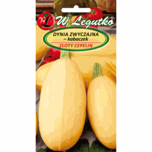 Dynia zwyczajna – kabaczek odm. Złoty Cepelin W. LEGUTKO