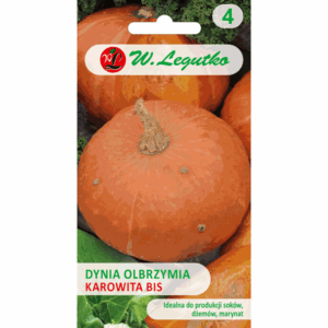 Dynia olbrzymia odm. Karowita bis W. LEGUTKO