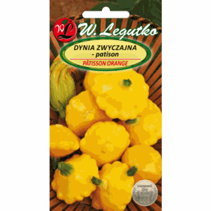 Dynia zwyczajna – patison odm. Patisson Orange W. LEGUTKO