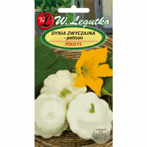 Dynia zwyczajna – patison odm. Polo F1 W. LEGUTKO