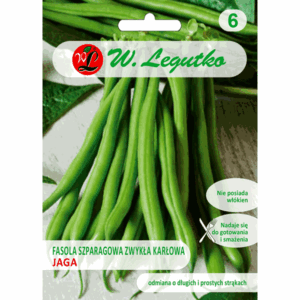Fasola zwykła karłowa szparagowa odm. Jaga W. LEGUTKO
