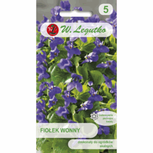 Fiołek wonny W. LEGUTKO