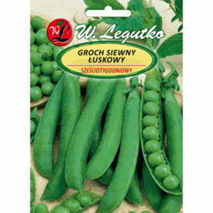 Groch siewny łuskowy odm. Sześciotygodniowy W. LEGUTKO