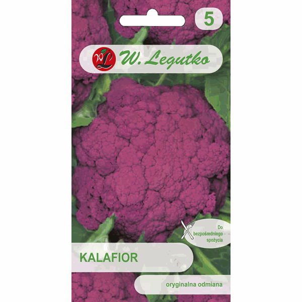 Kalafior odm. Di Sicilia Violetto W. LEGUTKO