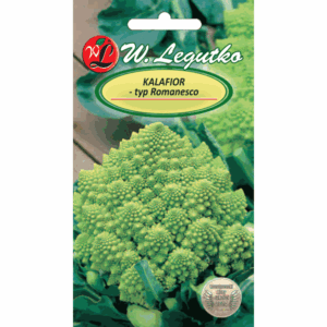 Kalafior, typ Romanesco W. LEGUTKO
