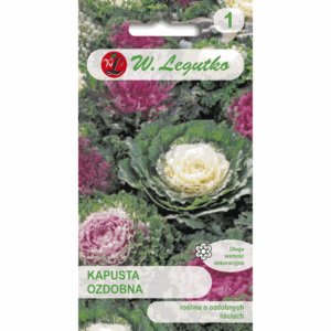 Kapusta ozdobna W. LEGUTKO