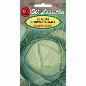 Kapusta głowiasta biała odm. Kamienna Głowa W. LEGUTKO
