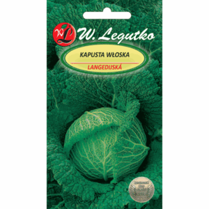 Kapusta włoska odm. Langedijska W. LEGUTKO