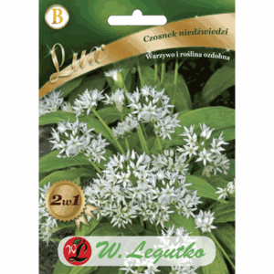 Czosnek niedźwiedzi W. LEGUTKO