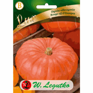 Dynia olbrzymia odm. Rouge vif d’Etampes W. LEGUTKO