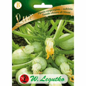 Dynia zwyczajna – cukienie odm. Tondo chiaro di Nizza W. LEGUTKO