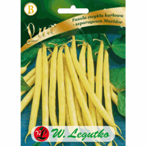 Fasola zwykła karłowa odm. Maxidor W. LEGUTKO